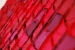 Title: "Other side-red silk"<br>Year: <br>Dimensions: particolare<br> Description: shantung silk and thread