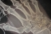 Title: Gift - detail installation<br>Year: 2013<br>Dimensions: 12 x 9 x 7,5 cm<br> Description: Silk and laser printing on paper