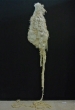 Title: Frammento di un sistema inesistente <br>Year: 2015<br>Dimensions: Approimately 790 x 48 cm<br> Description: Silk